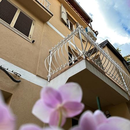 Ara Home Marcellinara Екстер'єр фото